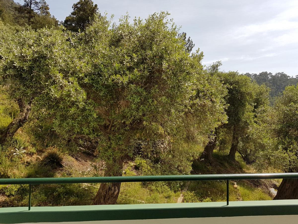 סקאלה פוטאמיאס Dionysos Hotel מראה חיצוני תמונה